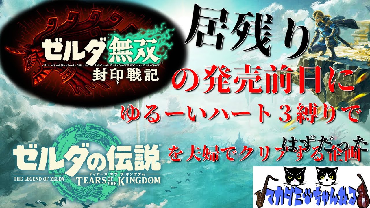 【ゼルダの伝説TOTK】夫婦一緒に封印戦記発売前日にティアキンをクリアしたかった【ハート３縛り】Vol.05