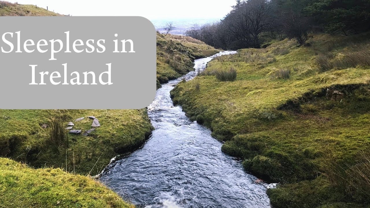 Irish Slow Living With Chronic Illness | Nature Ireland Vlog | Labradors swimming | Misty Bog