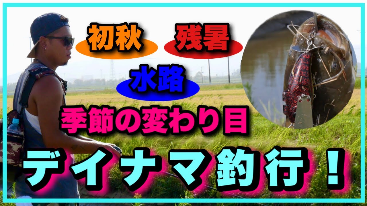 まだまだ暑い！【初秋】【残暑】デイナマ釣行！！