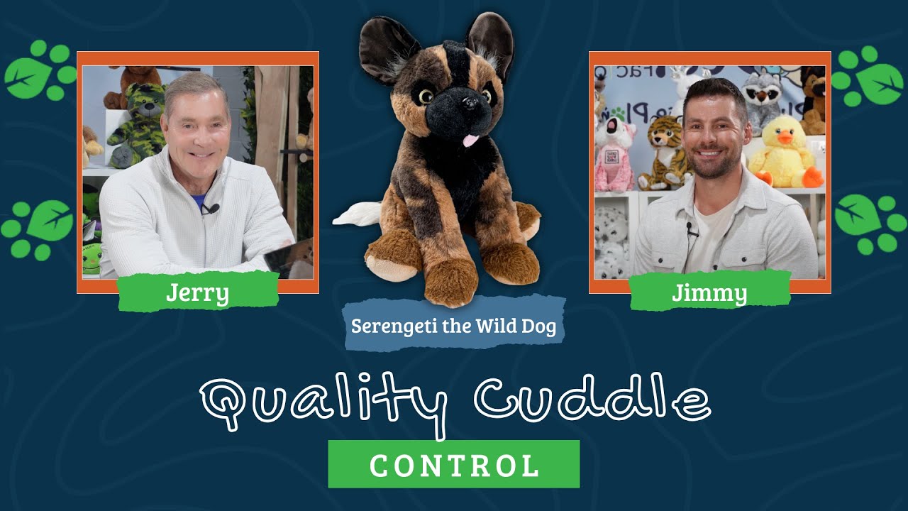 Quality Cuddle Control | Pawsitive Impact | Episode #2