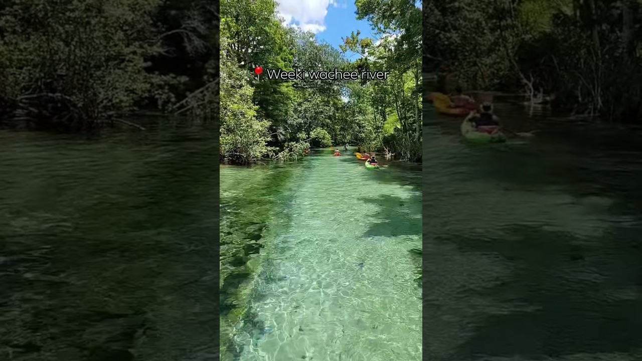 one of the most beautiful places in Florida to take a river boat ride or kayak