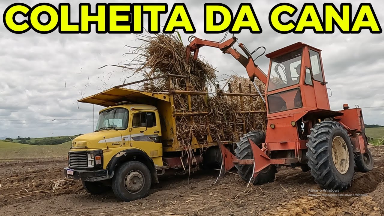 COLHEITA DE CANA DA USINA COPERVALES | ENTENDA COMO É O PROCESSO