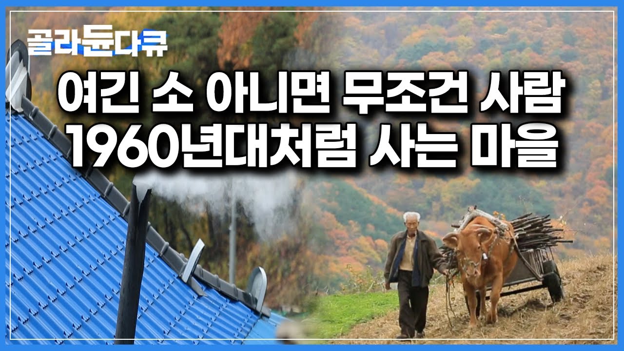 ‘역대 한국기행 통틀어 최고의 영상미’ 말도 안되는 풍경에 두고두고 회자되는 마을｜#골라듄다큐