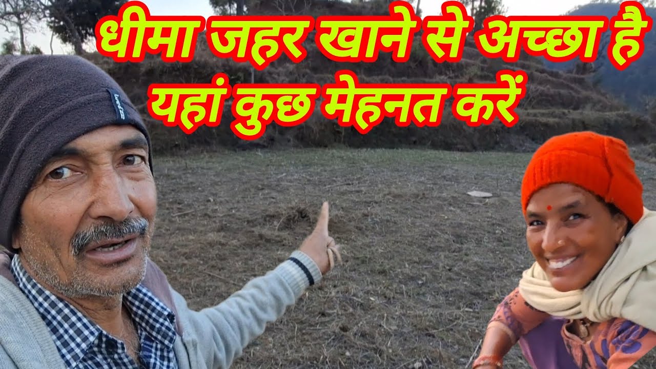 केमिकल के सहारे चलता है नब्बे दिन | हर चीज में है मिलावट #trending #viralvideo #pahadi 