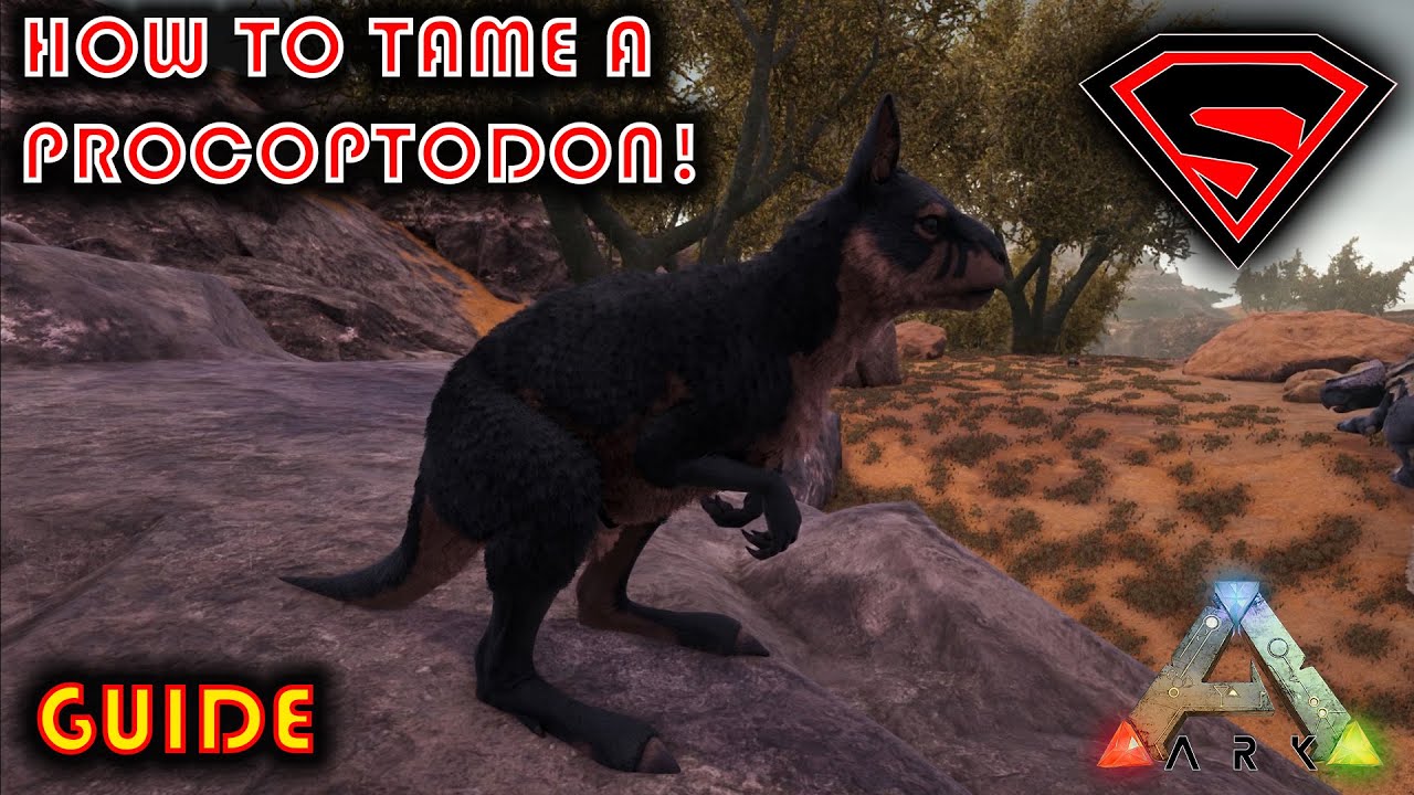 ARK HOW TO TAME A PROCOPTODON 2020 - EVERYTHING YOU NEED TO KNOW ABOUT TAMING A PROCOPTODON