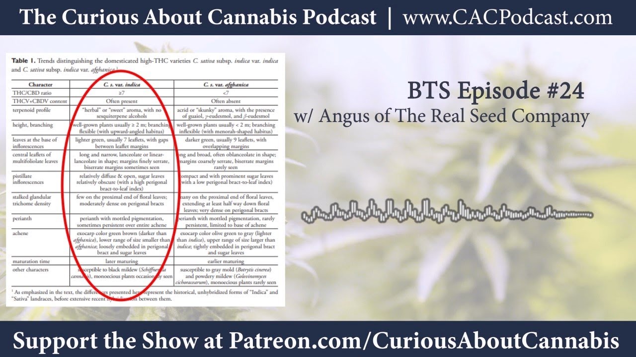 McPartland and Small's New Cannabis Taxonomy with Angus of the Real Seed Company | BTS 24