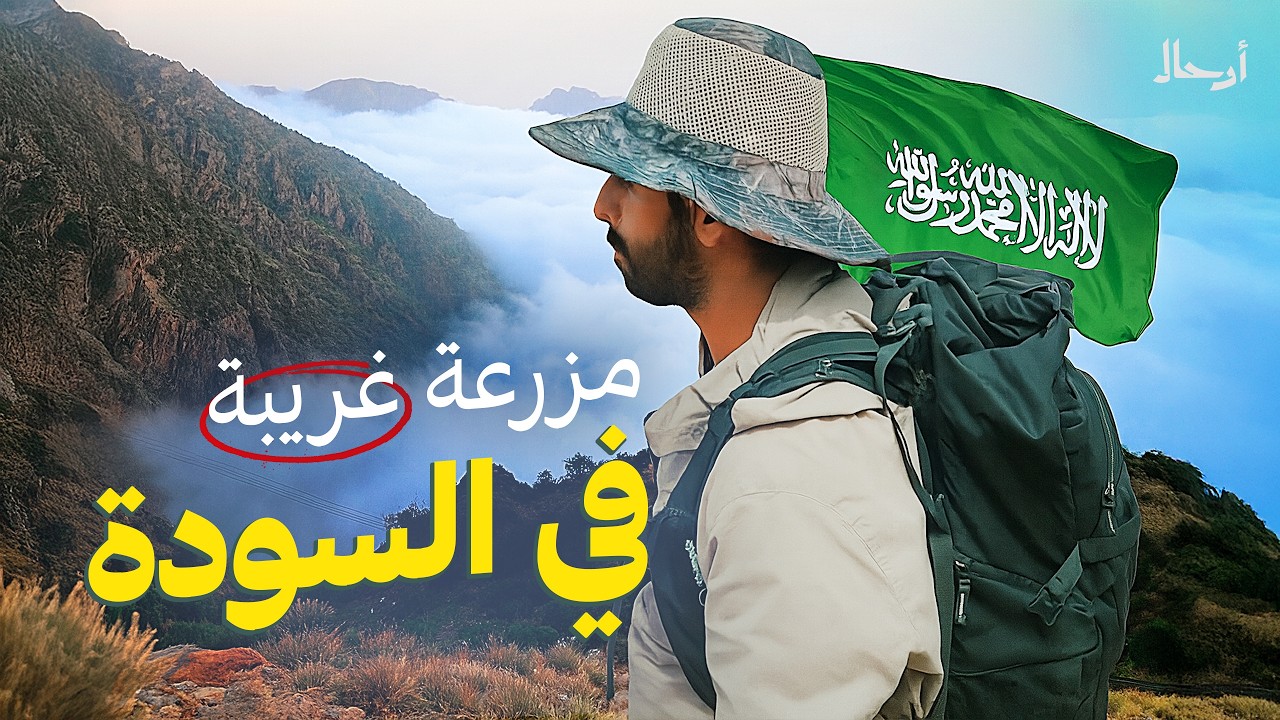 هربنا من سرعة المدينة | من الرياض إلى السودة
