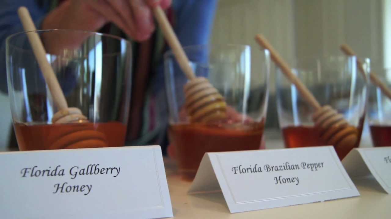 Honey Tasting with Authentic Florida