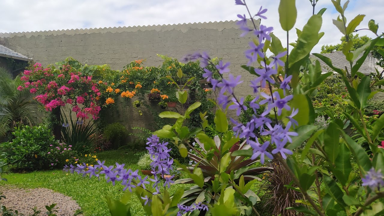 7 Lindas Flores Azuis Para o Jardim