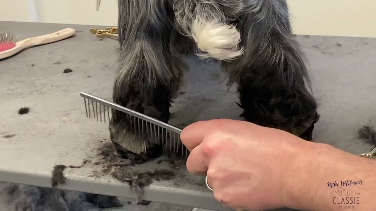 Hook Trimming Demo