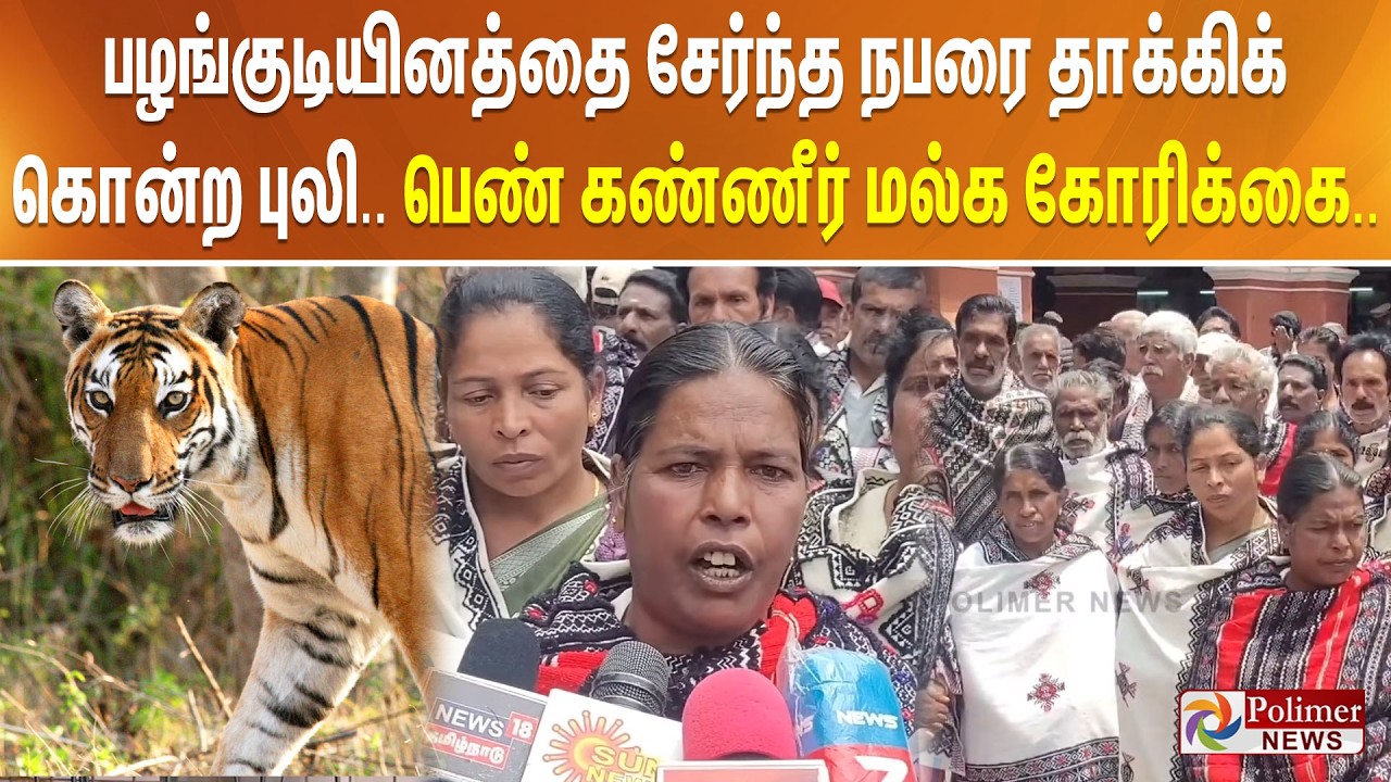 பழங்குடியினத்தை சேர்ந்த நபரை தாக்கிக் கொன்ற புலி.. பெண் கண்ணீர் மல்க கோரிக்கை..