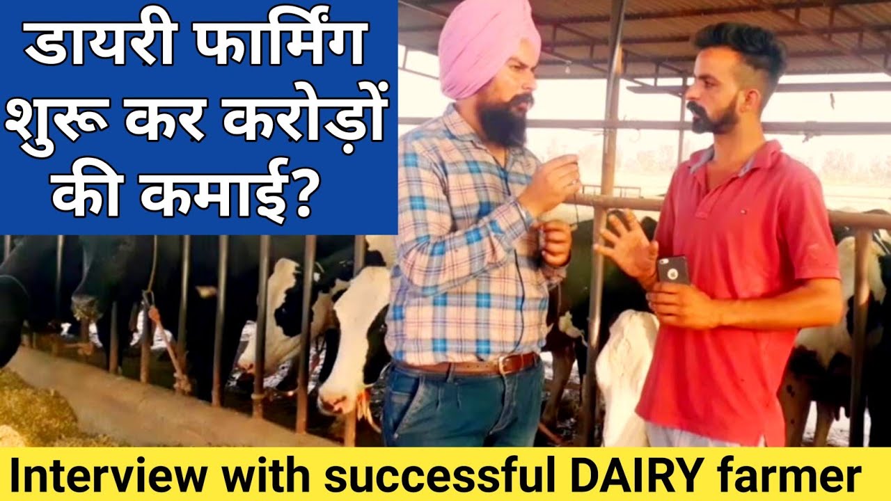 How to start Dairy farming in india|Interview with successful Dairy Farmer