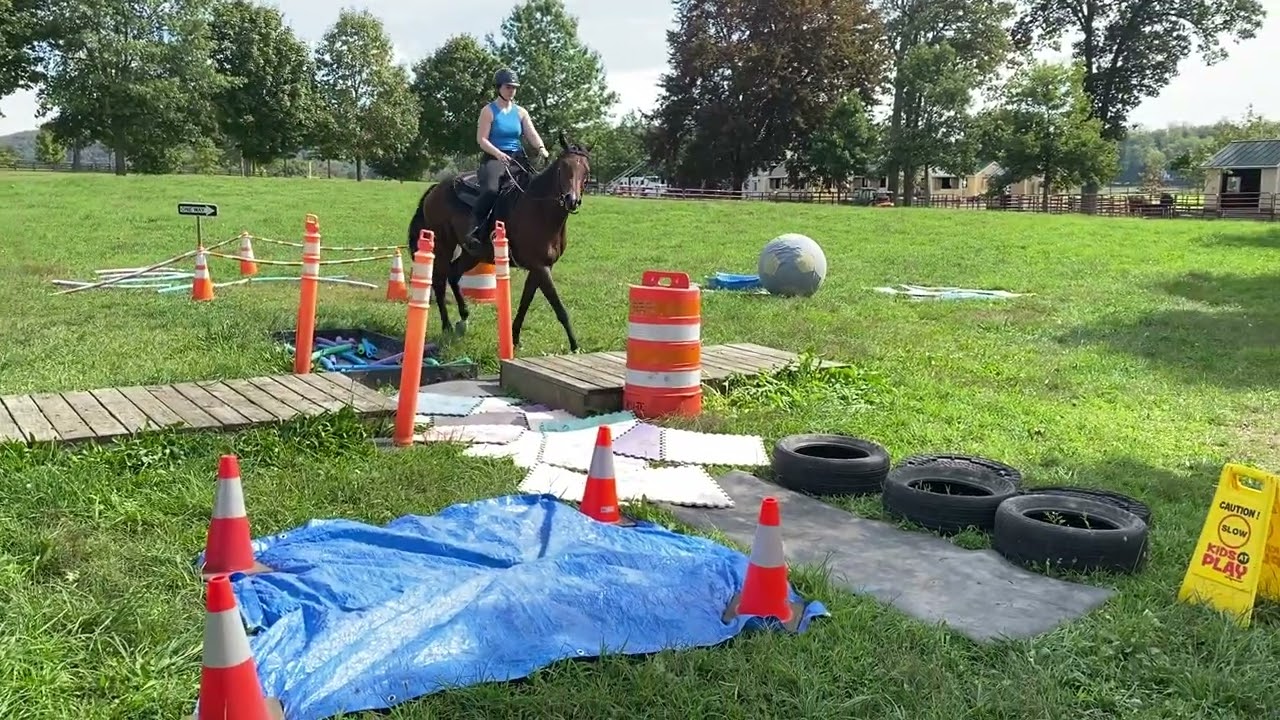 RRP obstacle video 