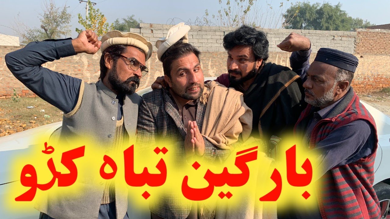 Bargain Tabah De // funny video by Daji Gul Vines 2024 new special drama #funnyvideos