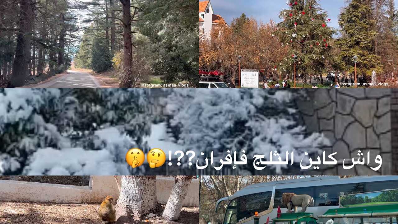 إفران اليوم واش بصاح كاين الثلج 🧐🤔🙄 جولة ممتعة فإفران و راس الما