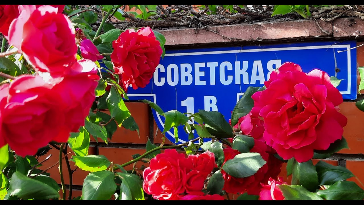 5 июня. Голубицкая//Улица Советская у Грязевого озера//Улица Набережная//Советская дом 1в