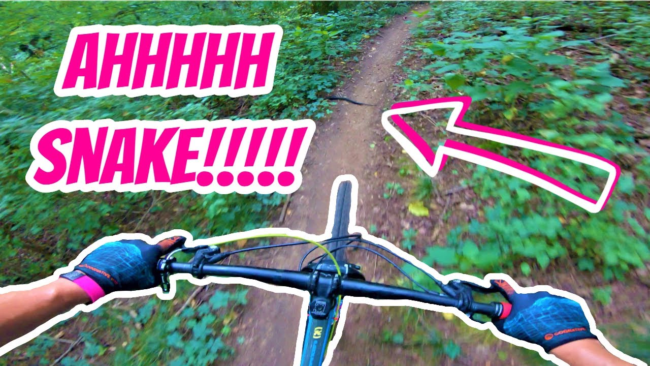 Percy Warner Mountain Bike Trails | Nashville, Tennessee