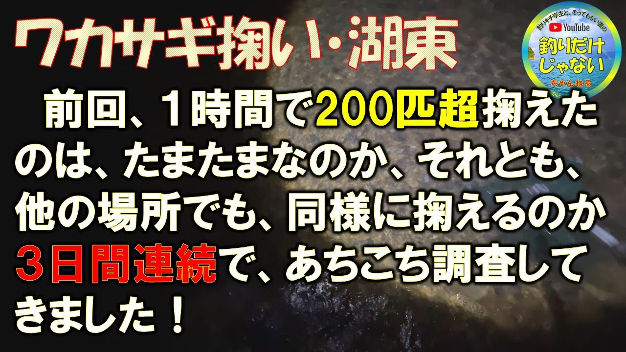 【ワカサギ掬い（湖東）】３夜連続の調査動画！１月18・19・20日。前回の爆ワキは、たまたまだったのか、それとも、湖東は湖西と変わらないポテンシャルを秘めているのか。琵琶湖・滋賀・彦根