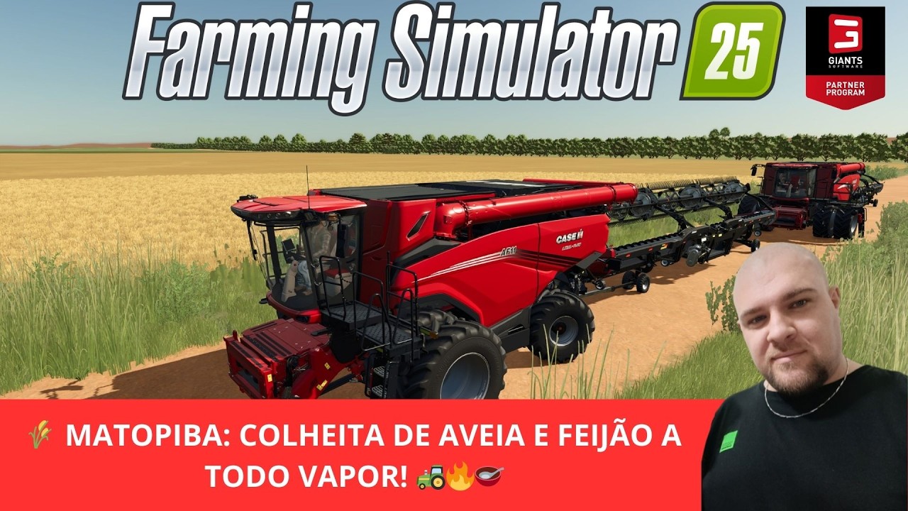 🌾 Matopiba: colheita de aveia e feijão a todo vapor! 🚜🔥🥣