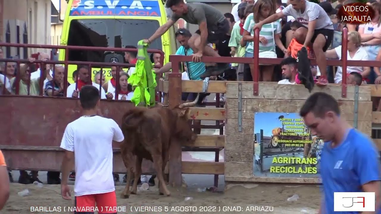 BARILLAS ( NAVARRA ) TARDE VACAS PLAZA ( VIERNES 5 AGOSTO 2022 ) ARRIAZU