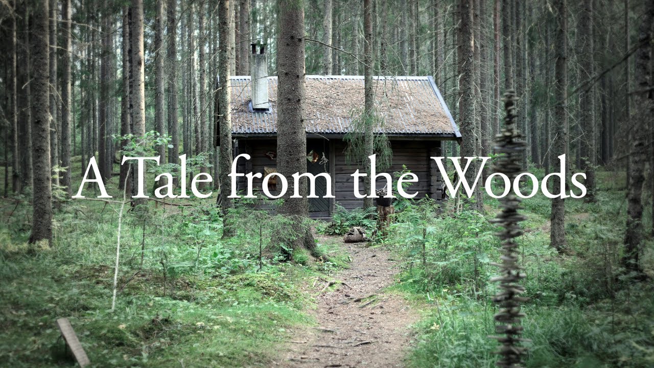 A Tale from the Woods: Reimagining Forestry in a Time of Climate Crisis