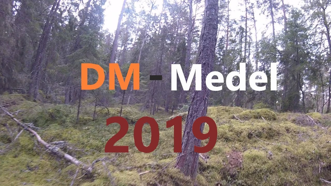 DM-Medel | Hjärnsläpp i Roslagen