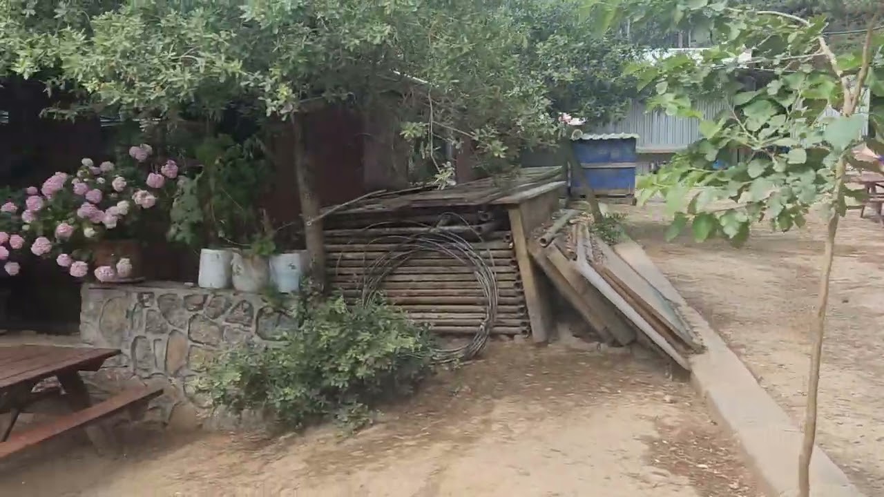 Yeşil Vadi piknik alanı Kartal.