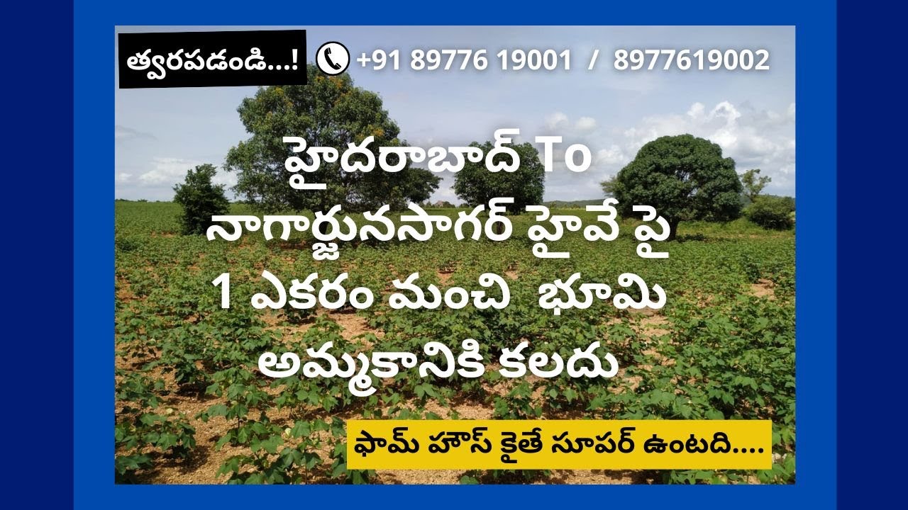 1 Acre Farm Land for SALE @ Kothapalli (V) On Nagarjuna Sagar Highway