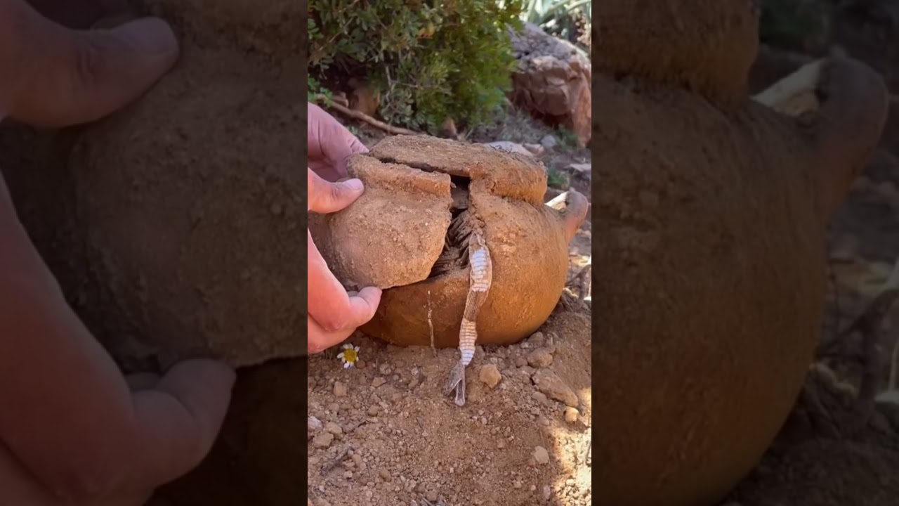 Pote de ouro amaldi&ccedil;oado #terror #amaldi&ccedil;oado #shorts #maldi&ccedil;&atilde;o #historias #antigo #pote #enterrado