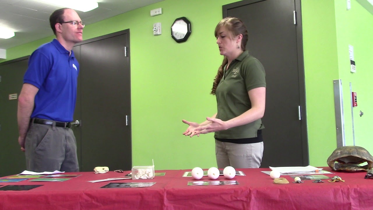 Hogle Zoo Interview