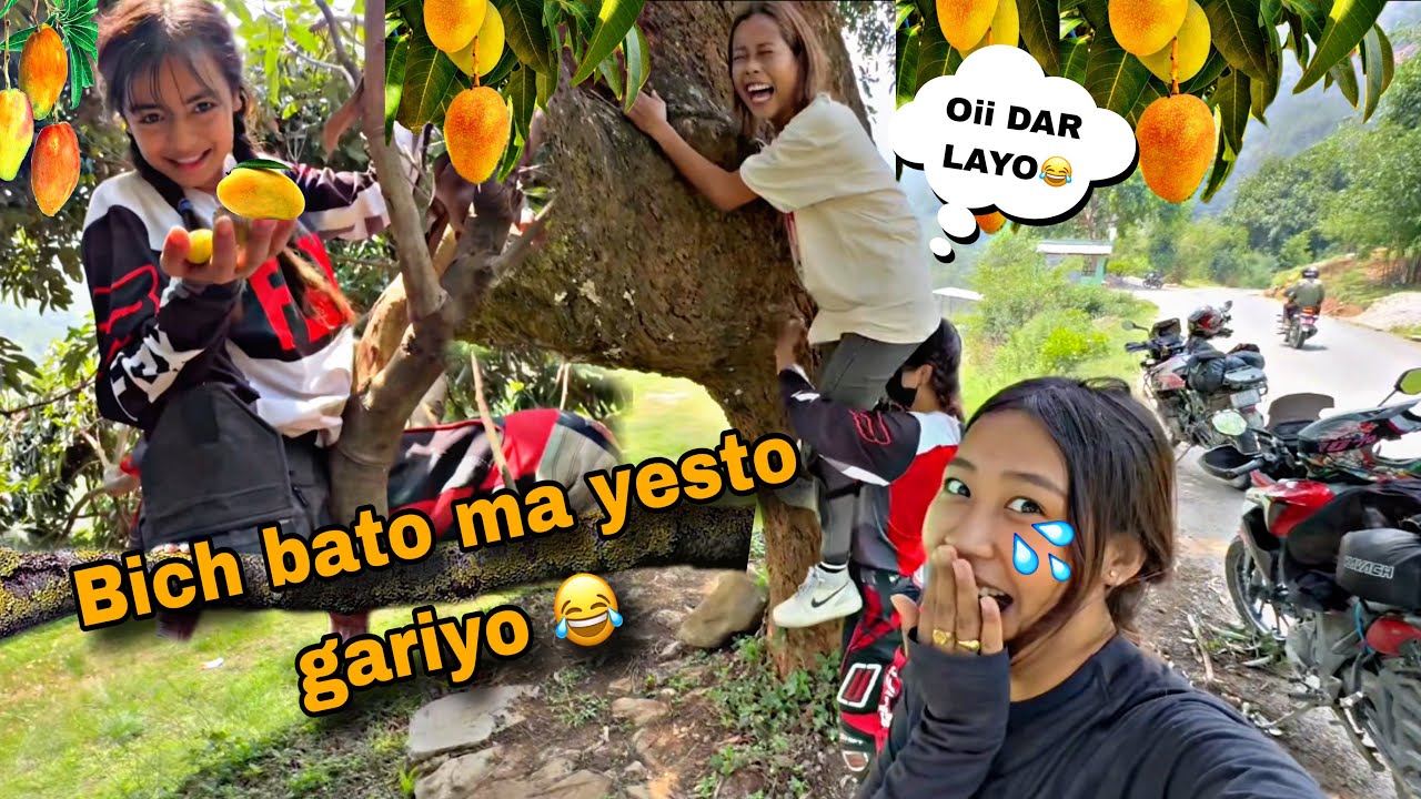 🤣GAU BATA FARKIDA BATO MA🥭YESTO SAMMA GARIYO😝😍 SUKEKO JIU MA LUKEKO BAL💪🏻