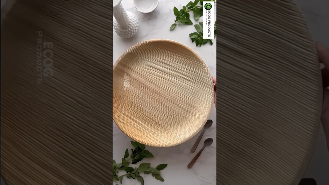 🌿 Eco-Friendly & Safe Food Packaging | Areca Plates, Sugarcane Plates & Aluminium Containers