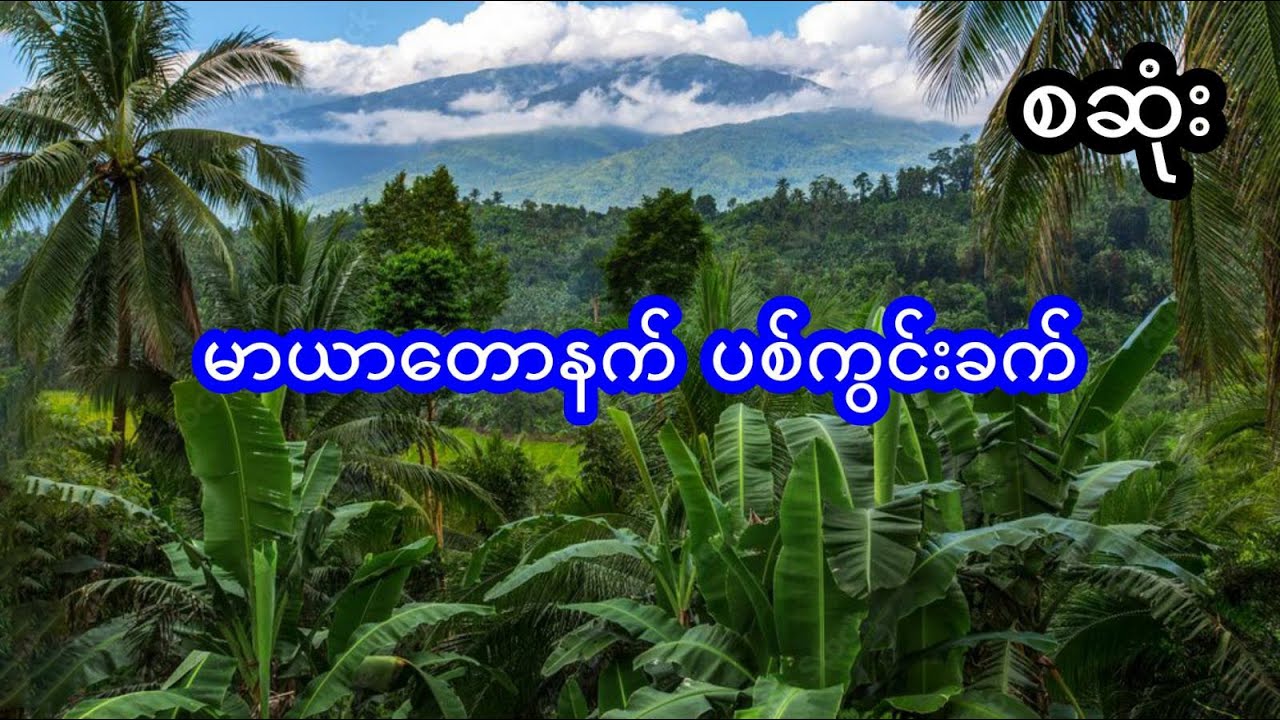 မာယာတောနက် ပစ်ကွင်းခက် - စဆုံး