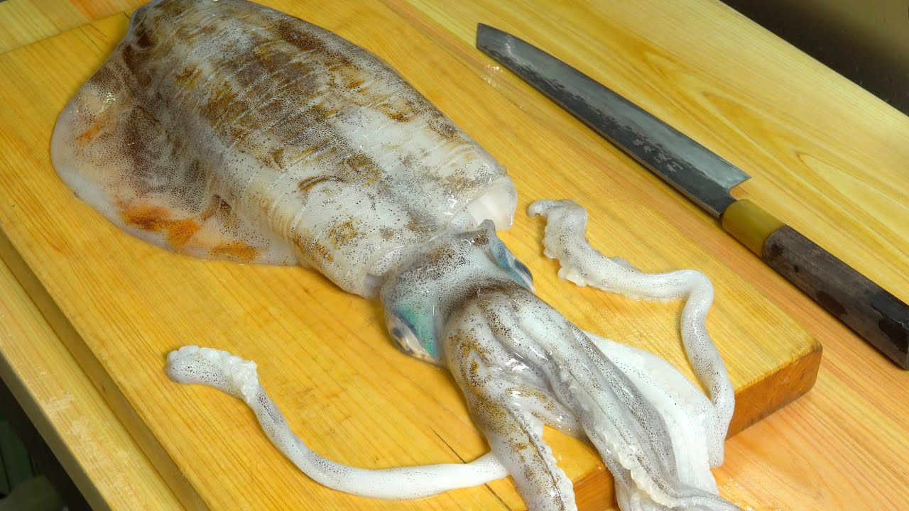 【詳細】一度冷凍した方が美味い？アオリイカのさばき方