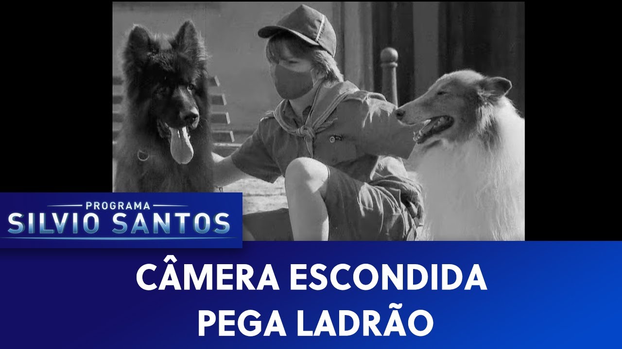 Pega Ladrão - Rin Tin Tin and Lassie Prank | Câmeras Escondidas (06/06/21)