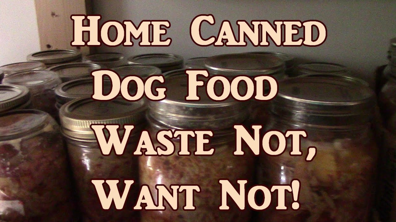 Home Made Dog Food!