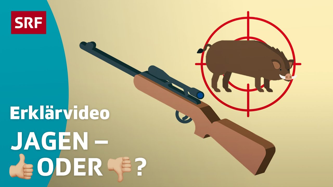 Auf die Jagd gehen &ndash; Pro und Kontra | Kindervideos | SRF Kids