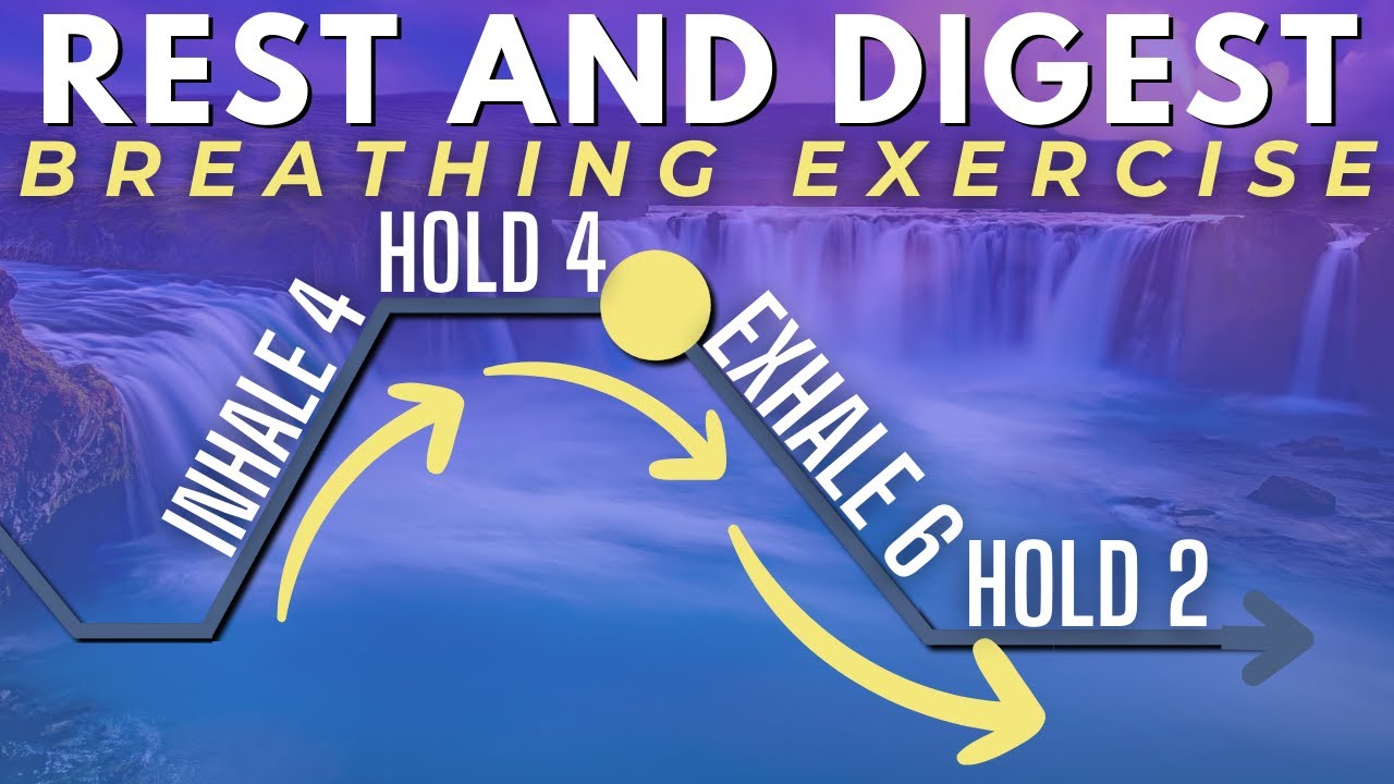 Rest and Digest Breathing Exercise (4-4-6-2)