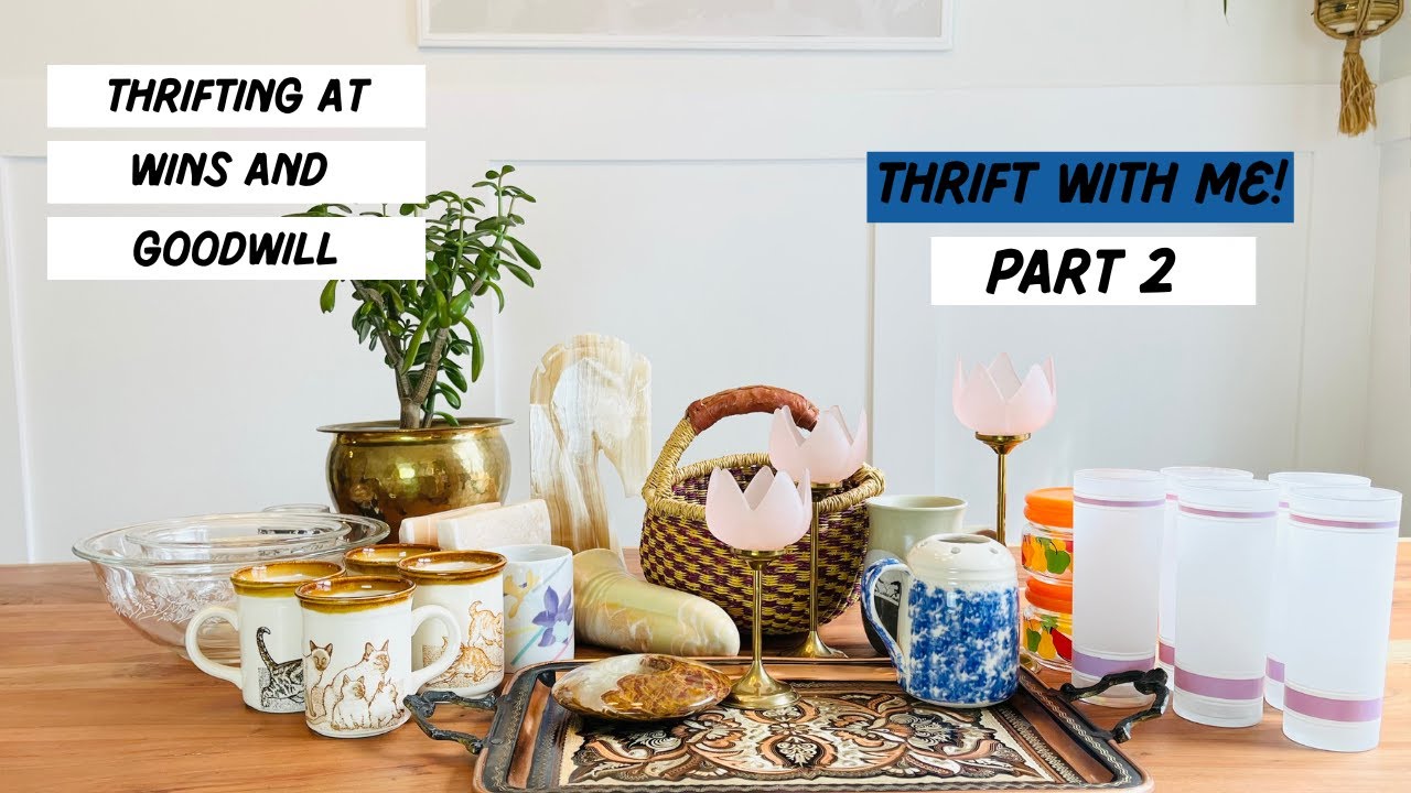 Massive vintage haul!! ~ Thrift With Me Part 2 ~ WINS and GOODWILL!!