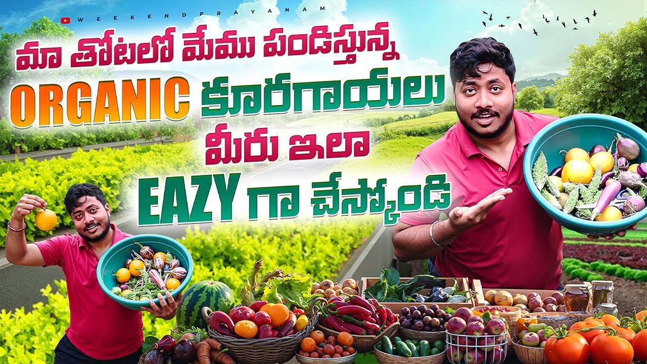 Organic Garden Tour 🌱 | Chemical Free Organic Vegetables at Home | Telugu