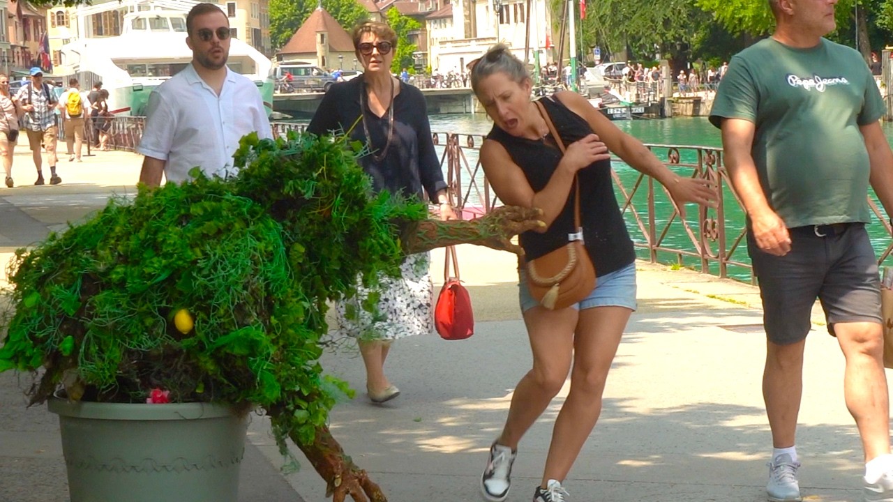 Ultimate bushman prank;  THE BEST SUMMER REACTIONS 2025