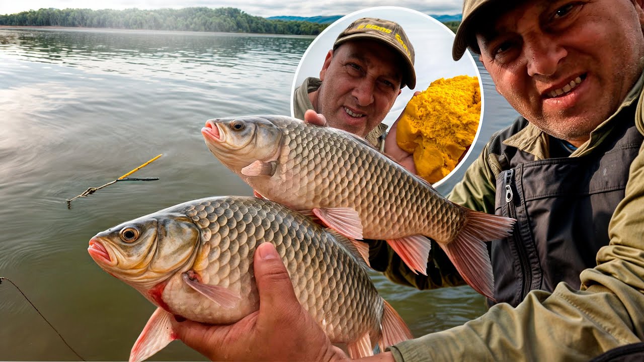 Pescuit La Pluta Cu Caras Gigant De 2 Kg Record Urias! 🐟