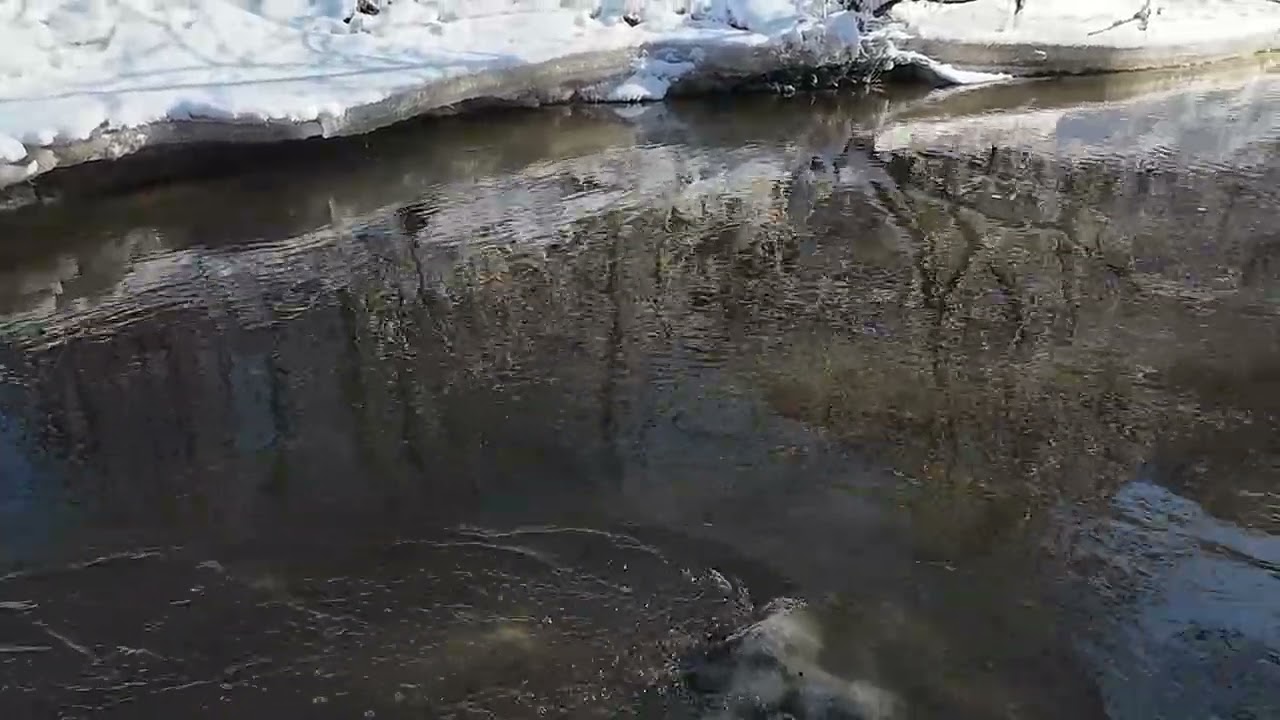 Relax nad rzeką #nature #stream #winter
