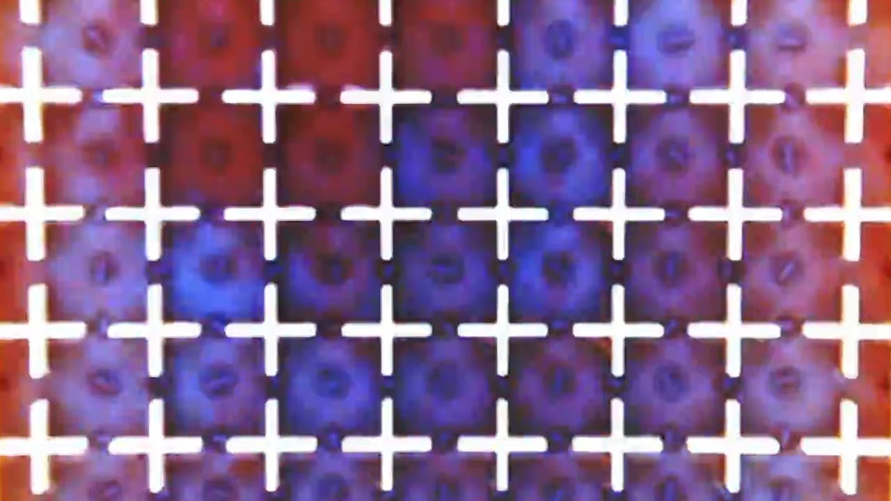 Your brain might one day be hooked up to a chemical computer