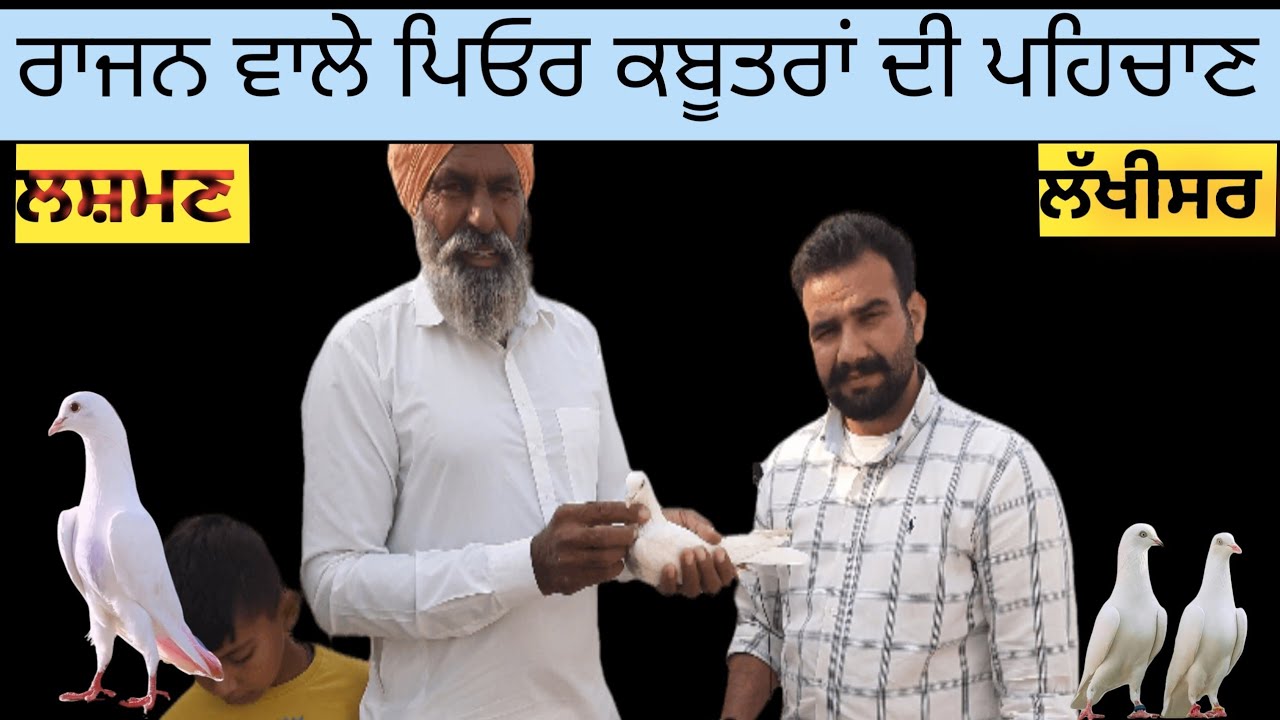 ਲਸ਼ਮਣ ਲੱਖੀਸਰ ਦੇ ਵੱਡੇ ਕਬੂਤਰ #Lachman #Lakhisar #wasdapunjab13