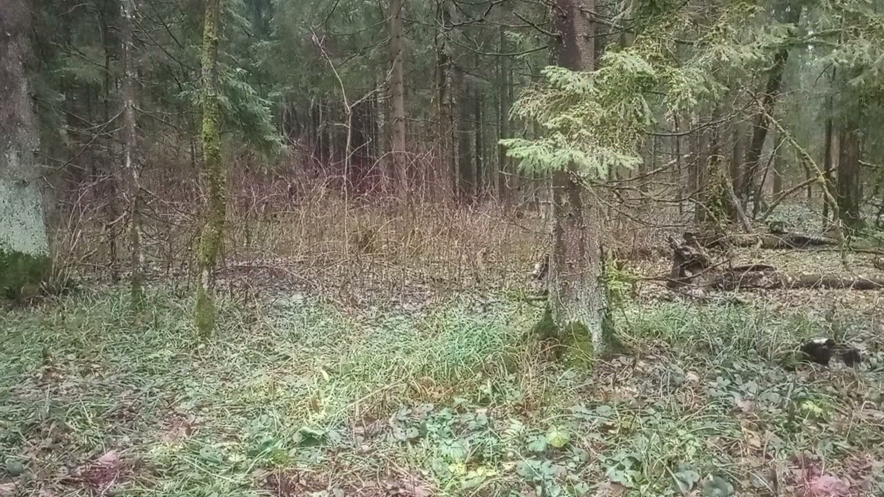 О незаметном передвижении  ночью