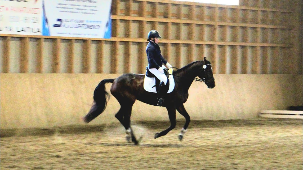 Helppo C:1 2022 Audie Alexus 5.10.2025