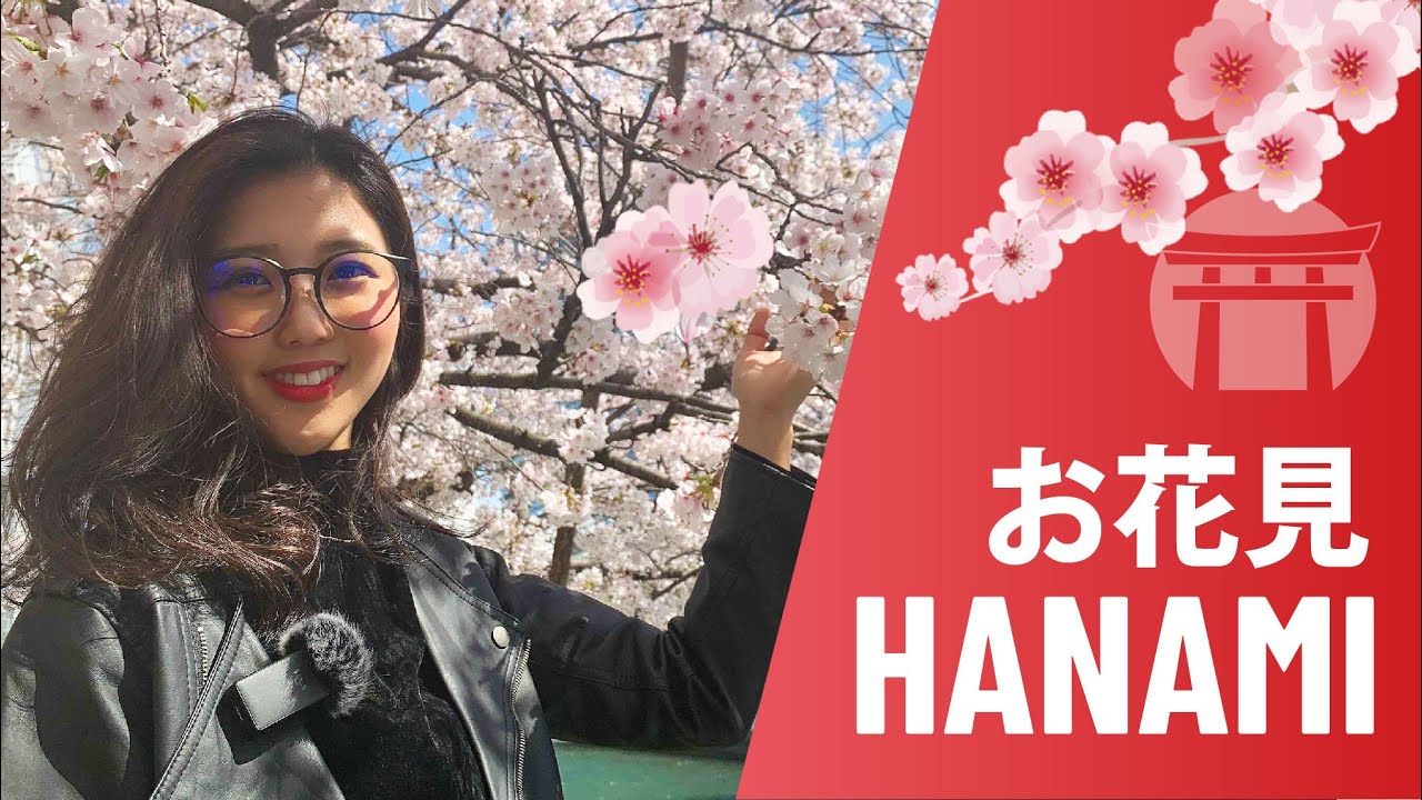 HANAMI 花見 🌸 MUST-KNOW Vocabulary for Japan's most famous season!