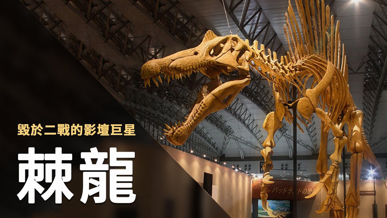 【生物百科】 棘龍 | 在二戰中灰飛煙滅，在影壇中捲土重來的當紅巨星。