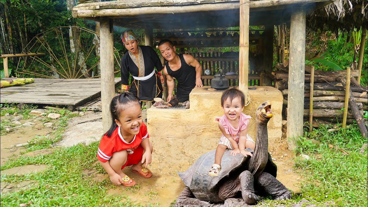 Giant Turtle Visits the Dwarf Family on a Rainy Day | Dwarf Family Grills Meat and Sweet Potatoes